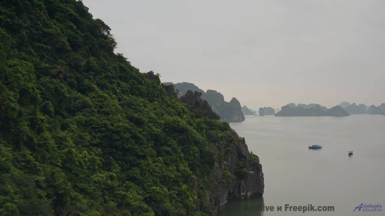 Что на самом деле происходит в этом видео Ответ вас шокирует! - Ghostly Fading -- Hollie Cook -- Liv