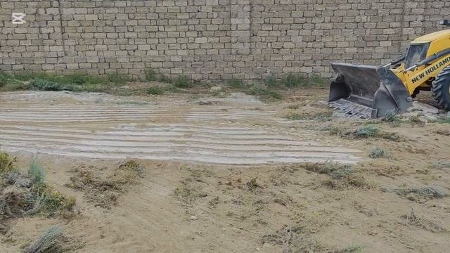 Уничтожение клеящей и сорняков 😂😂