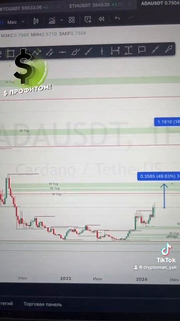 Обзор альткоина ADA