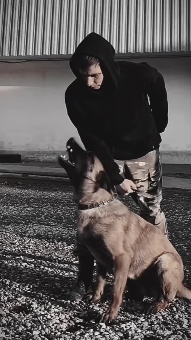 Rec_Guardium_K9