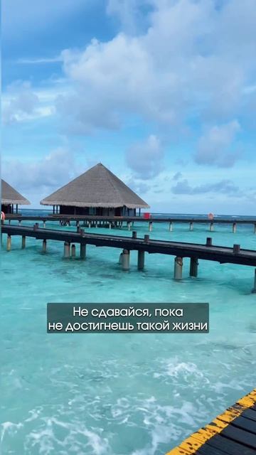 Бесплатный разбор твоих финансов и бизнеса в шапке профиля