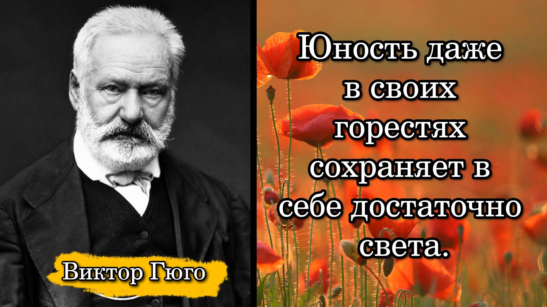 Виктор Гюго. Юность даже в своих горестях сохраняет в себе достаточно света.