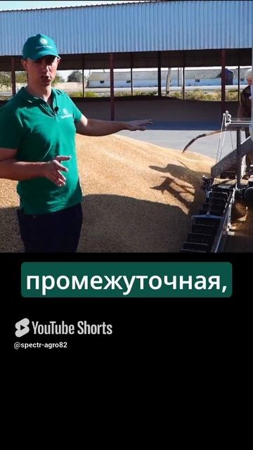 Очистка пшеницы часть 2