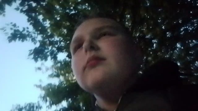 походка гулять