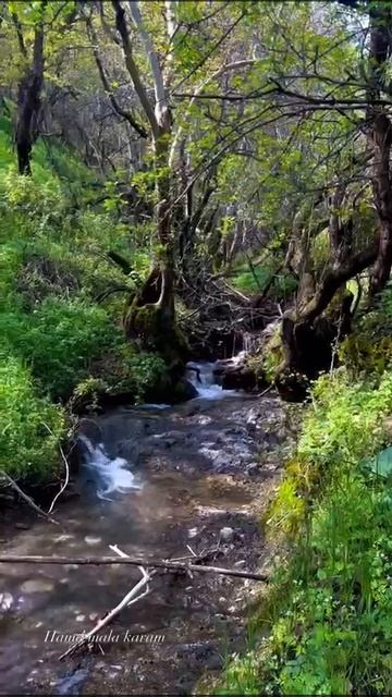 Красота природы Дидо