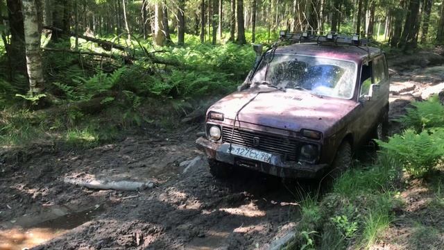Медное озеро 12.06.2019 г.