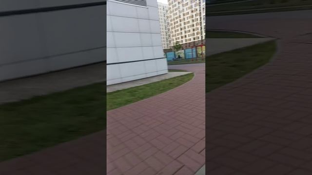 мои друзья