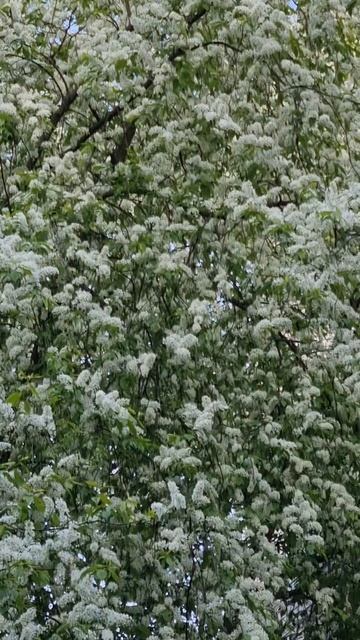 Доброе утро ☕️