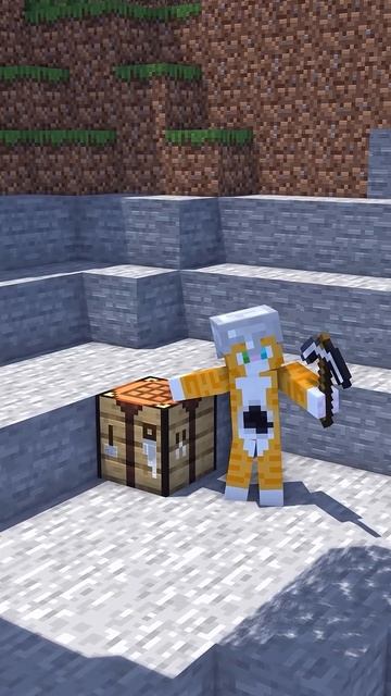 Animation minecraft