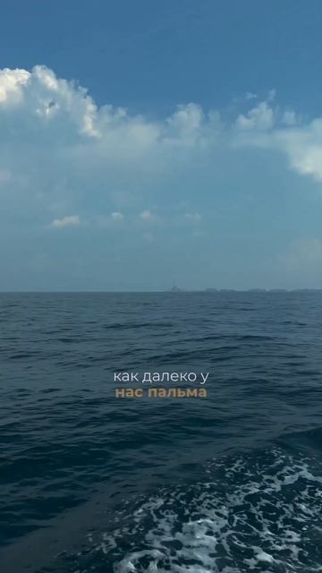 Рыбалка в Дубае стоит ли ехать? Дубай Марина | Дубай 2024