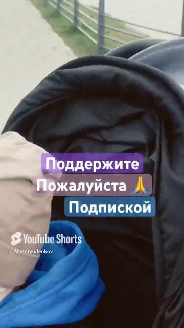 Витюшик боится чаек #рекомендации #хочуврекомендации #реки #short #shorts #tiktok #tiktokrending