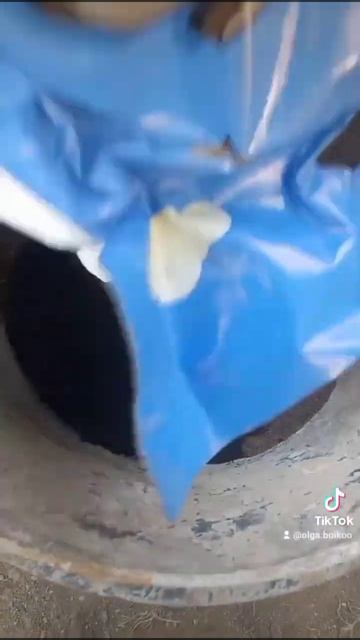 Высаживаю крупнолистную ГОРТЕНЗИЮ на постоянное мест