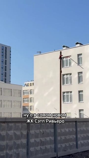 Какую инфраструктуру построит Setl city на правом берегу Невы? #новостройкиспб #сетлсити