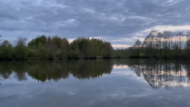 Птичьи трели