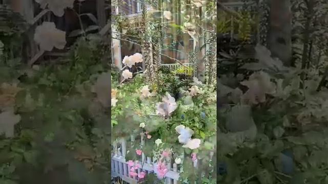 IMG_20250514_210554_622.mp4
