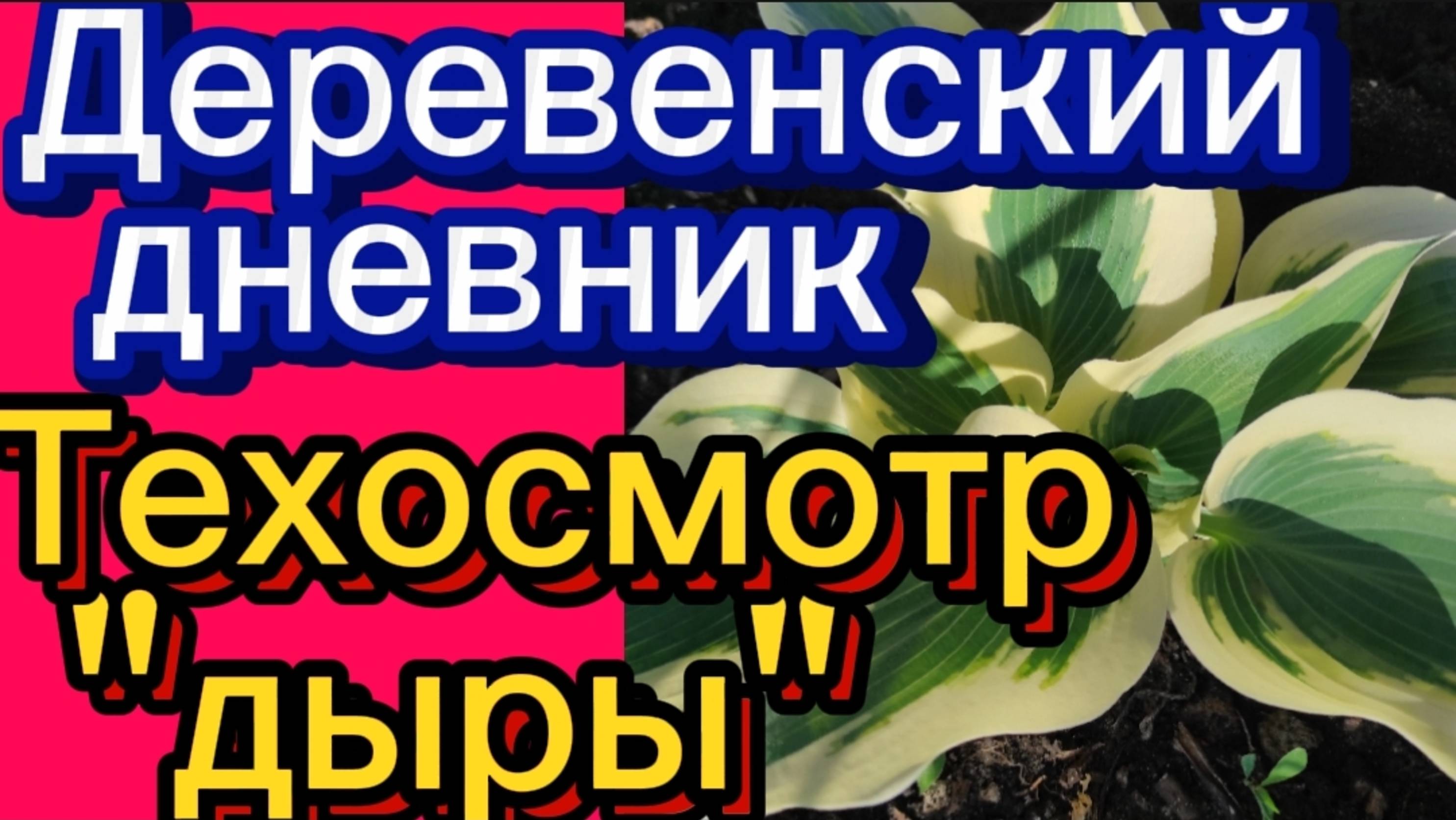 ДЕРЕВЕНСКИЙ ДНЕВНИК. "ТЕХОСМОТР ДЫРЫ"