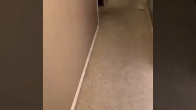 Так тоже умею👍🏻