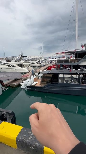 Очень быстрое морское такси в Сочи