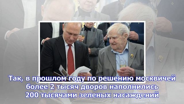 Стартовало голосование по акции «миллион деревьев»