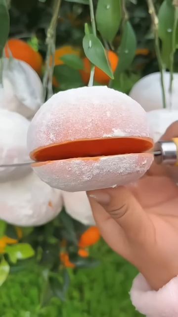 The process of cutting frozen oranges #shorts