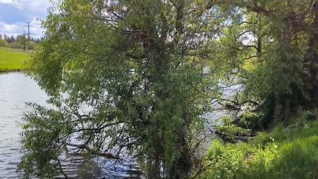 в поисках прекрасного...