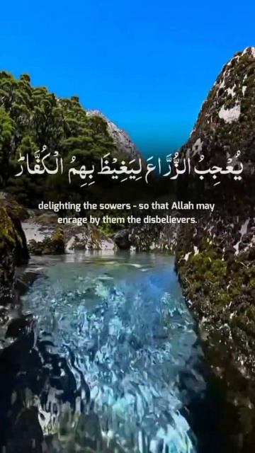 Stray Bullet (2020) / Balle perdue