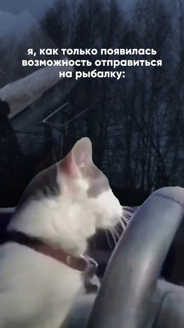 Я, как только появилась возможность отправиться на ры?