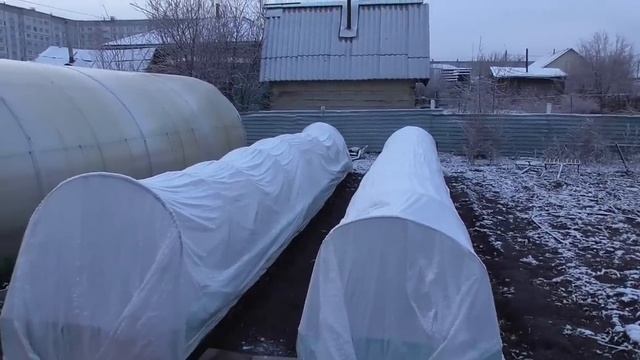 Снова мороз и снег! Томаты под снегом. Обзор погоды и огорода 2 мая 2023.