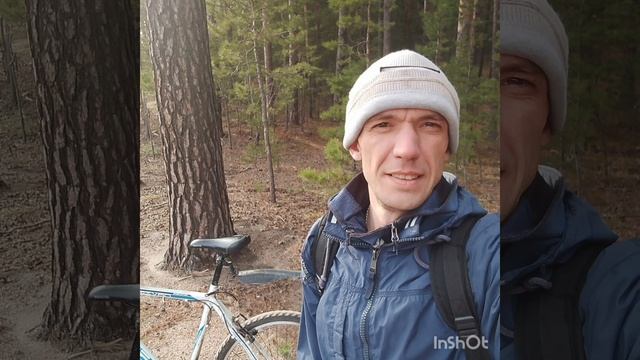 Утро в лесу, воздух, речка, утро, утро