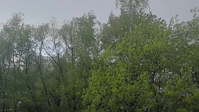 вид из окна 🪟