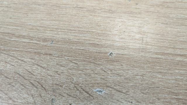 1000008839.mp4