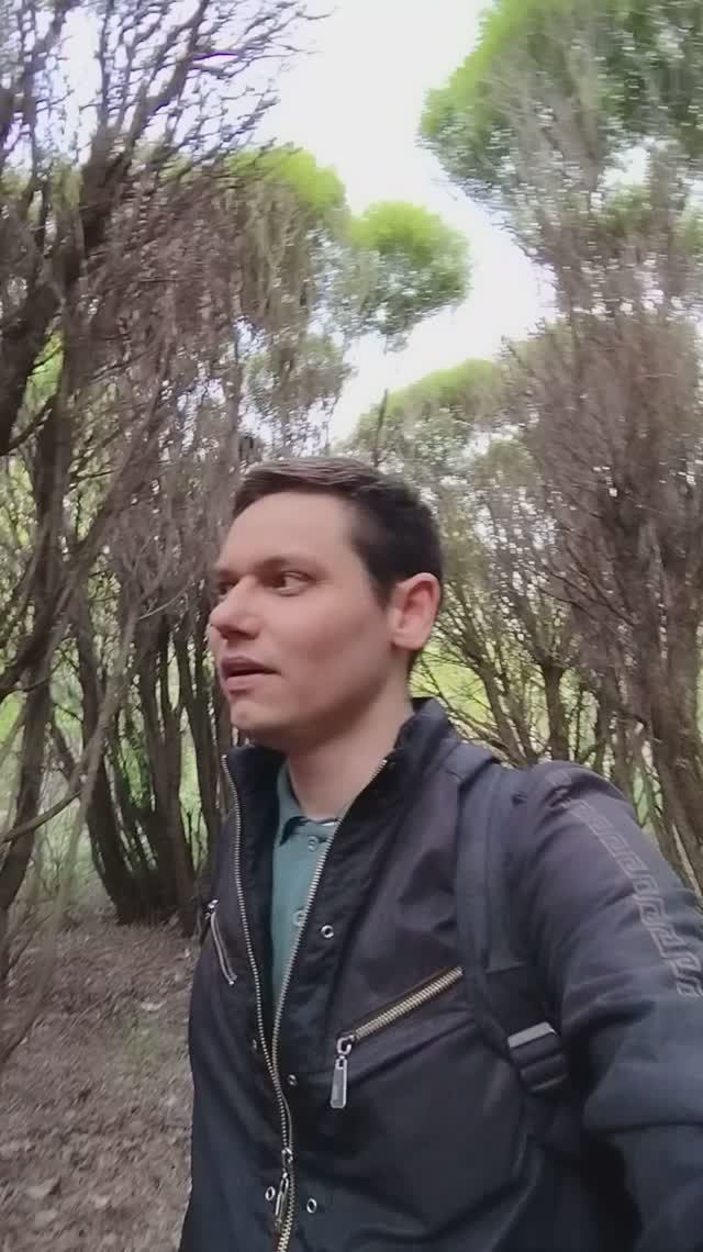 Ивник, а точнее, ивняк (заросли ивы)