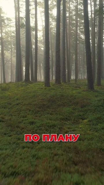 ШОКИРУЮЩАЯ НАХОДКА В ЛЕСУ: что случилось с Анастасией