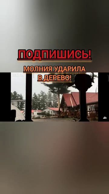 Молния Ударила в дерево! #shortvideo #взрыв #shorts #short #молния