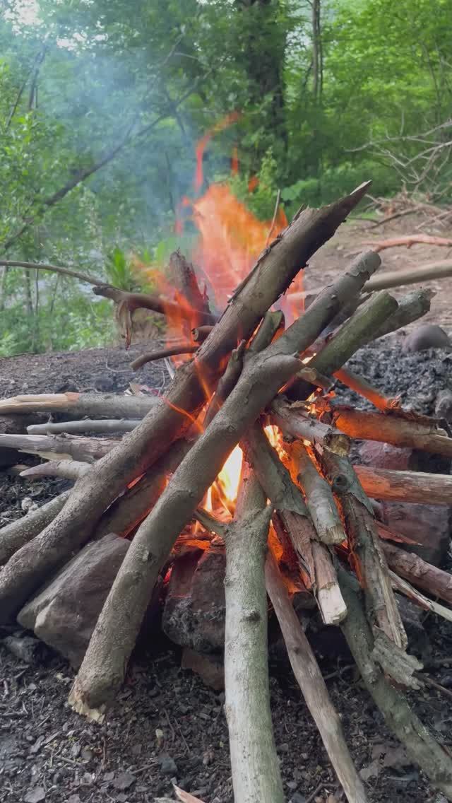 🏕️ Отдых в лесу. 🌳
