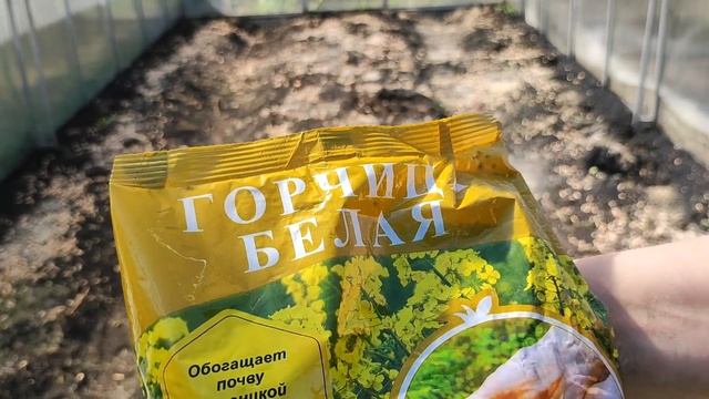 СДЕЛАЙ ЭТО ОСЕНЬЮ в ТЕПЛИЦЕ, правильная обработка, что