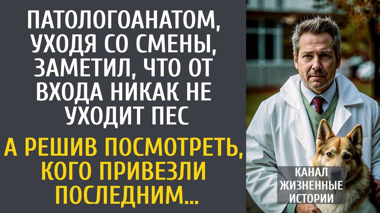 Патологоанатом уходя заметил, что от входа не уходит пес... А посмотрев, кого привезли последним…