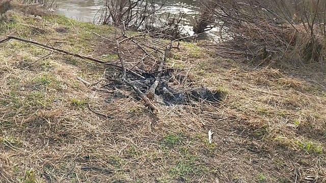 Рыбаки жгут костры в запрещенных местах в весеннее время,когда нельзя жечь костры