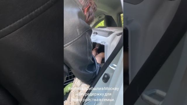 14-05-2025 якутята от убитой матери и щенок из подъезда Якутска