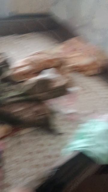 1000196258.mp4