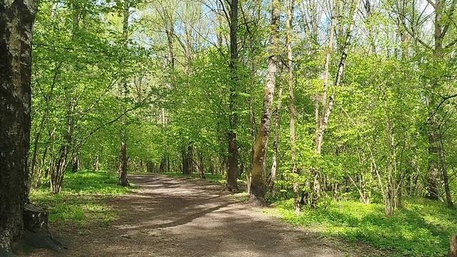 Прогулки с бульдогом: размышления о вредных привычках.