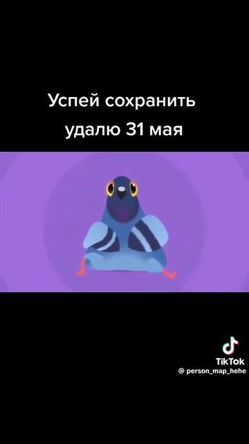 1000008267.mp4