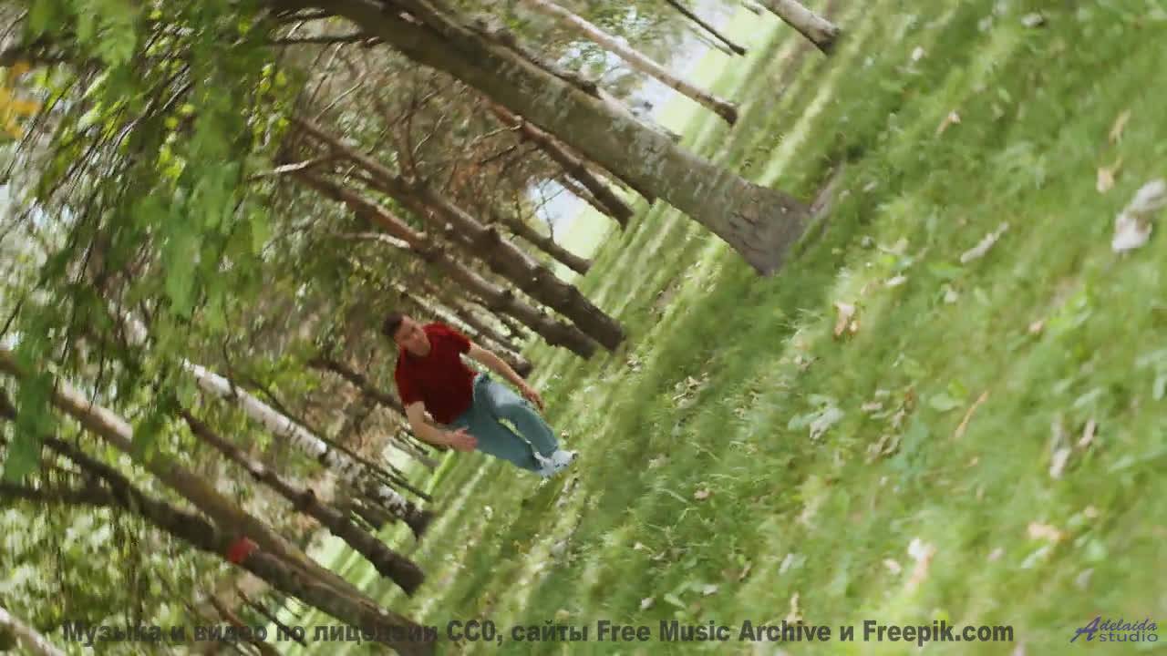 Это видео докажет, что природа лучше любого фильма - I Thought You Were Cool -- HoliznaCC0 -- We Dro