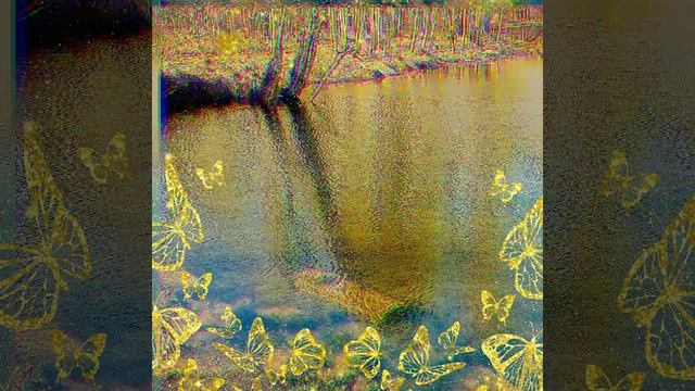 IMG_20250514_211242_172.mp4