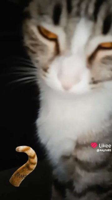 😉Какие Красивые Глаза🤗