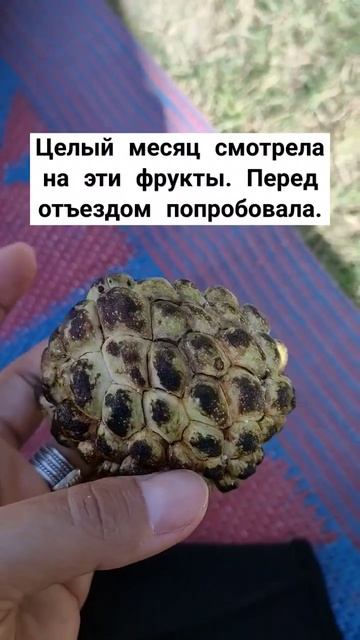ЕЛИ ТАКОЕ?     #путь #supergirl #жизнь #психология #сила #житьт