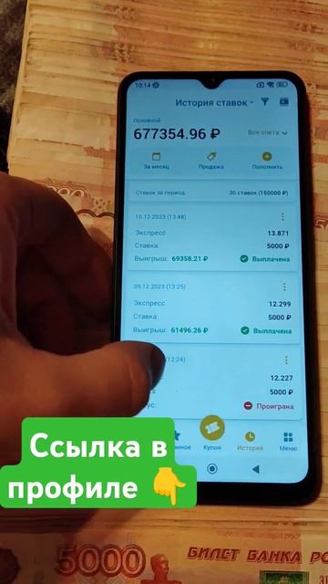 13 июня 2024 г.