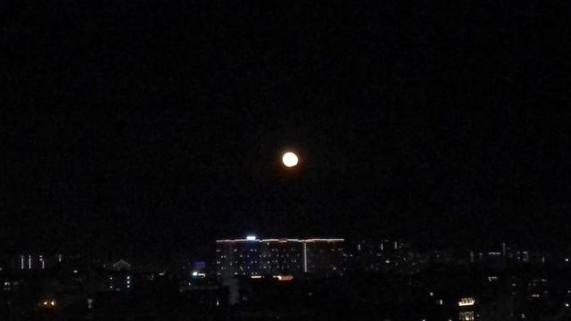 Вою на луну