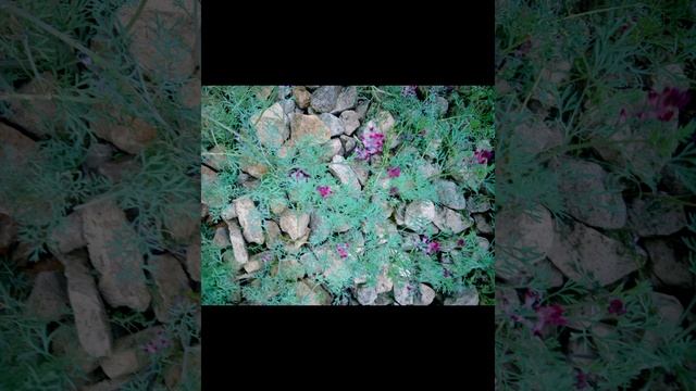 Весна - прекрасное время года.