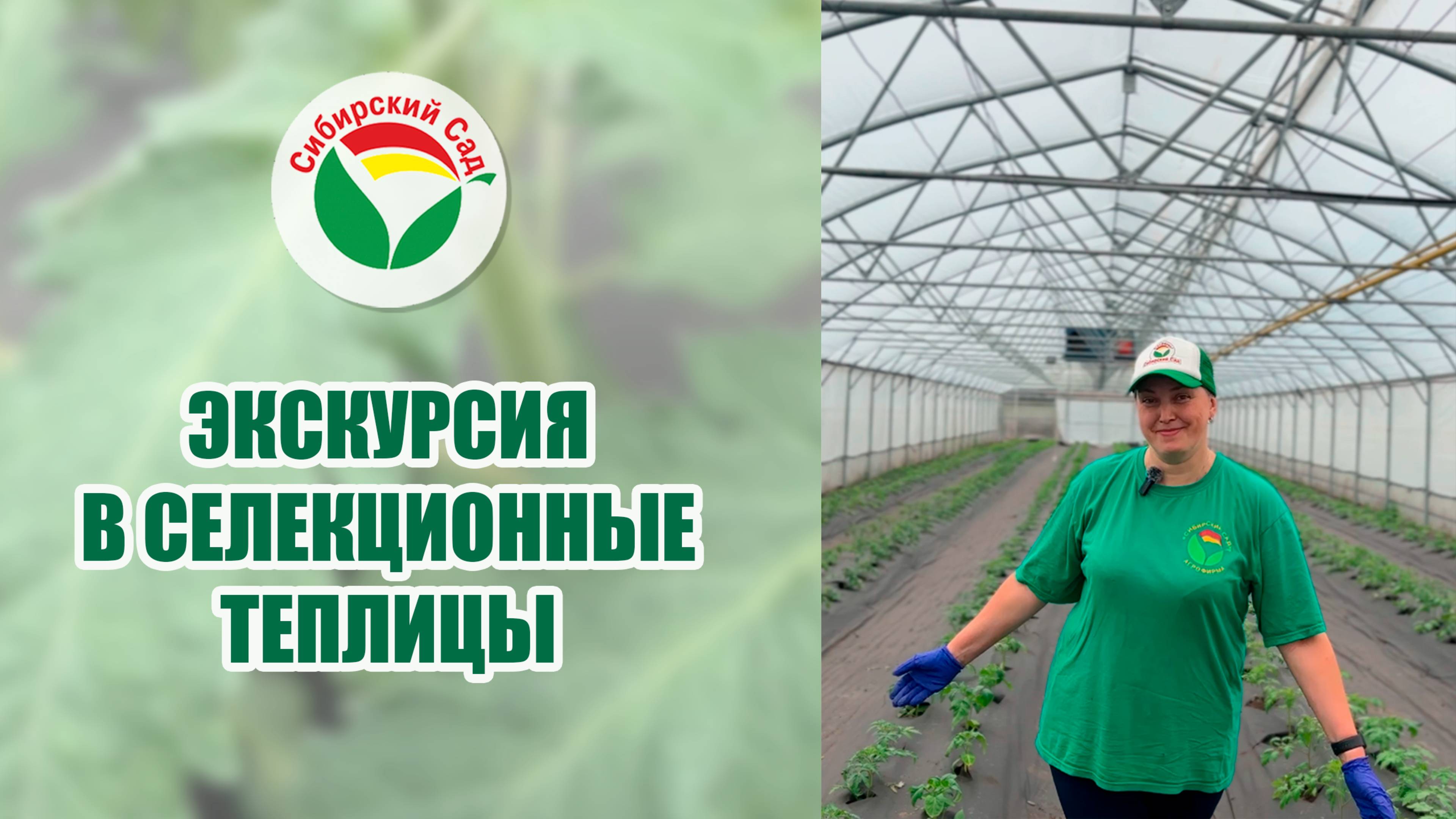 Экскурсия в селекционную теплицу